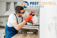 Cockroach Control Brisbane image 11